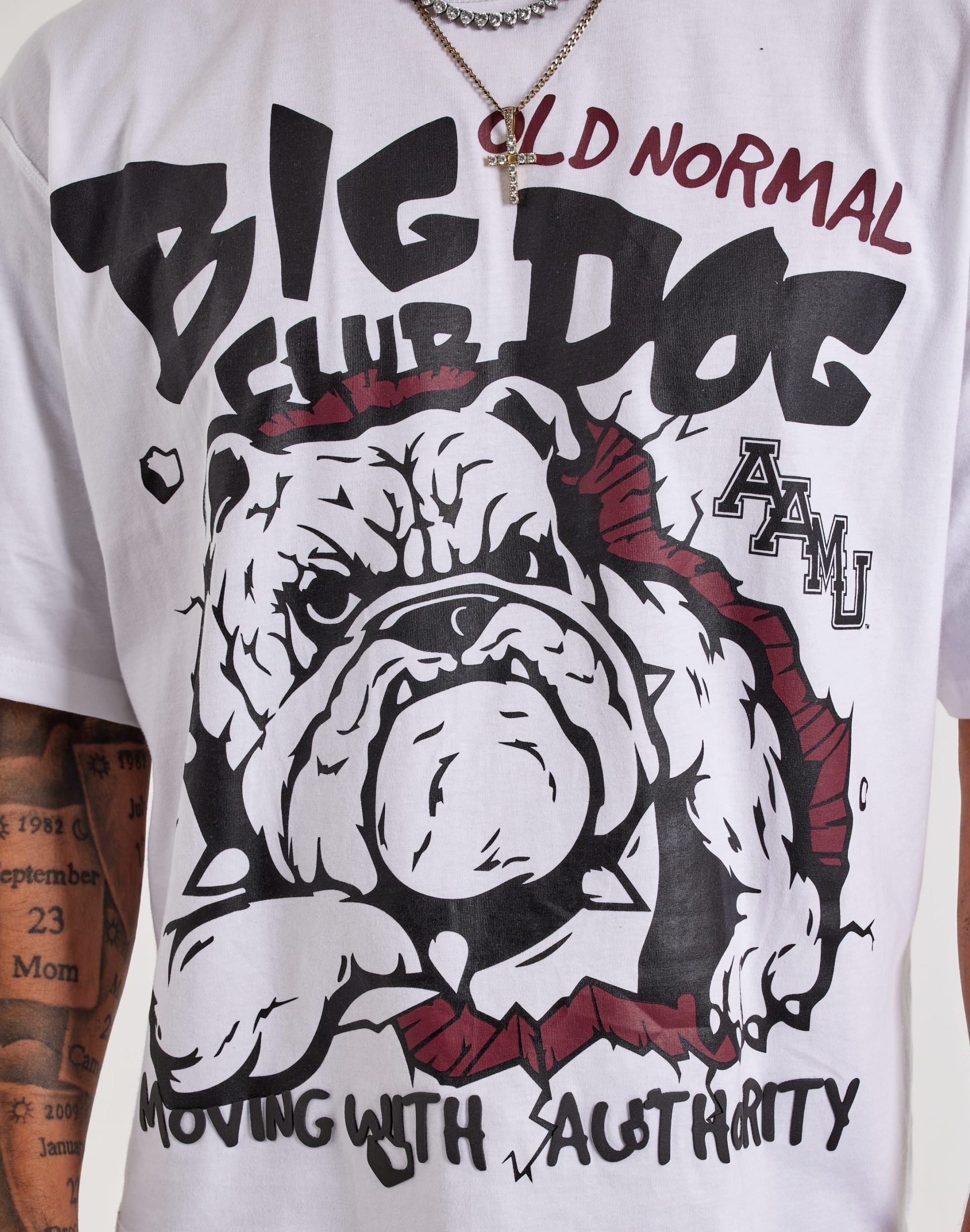 For The Fan Alabama A&M University Beware Campus Tour Tee - Image 3