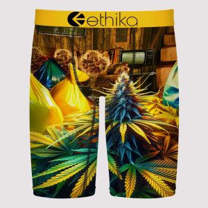 Ethika Out The Bando Boxer Briefs