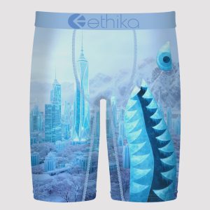 Ethika City Of Stillness Boxer Briefs