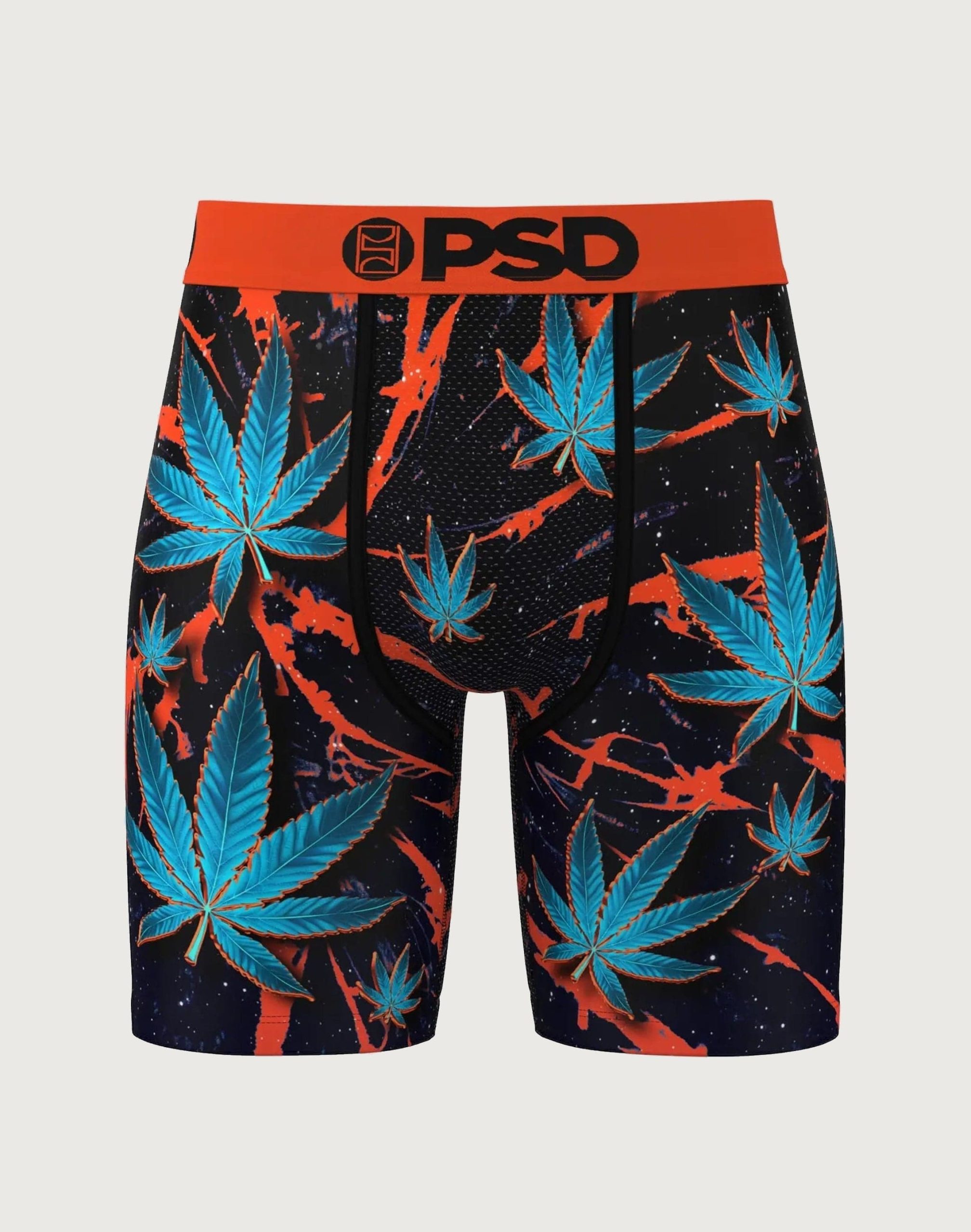 Psd Underwear Chronic Boxer Briefs - Image 2