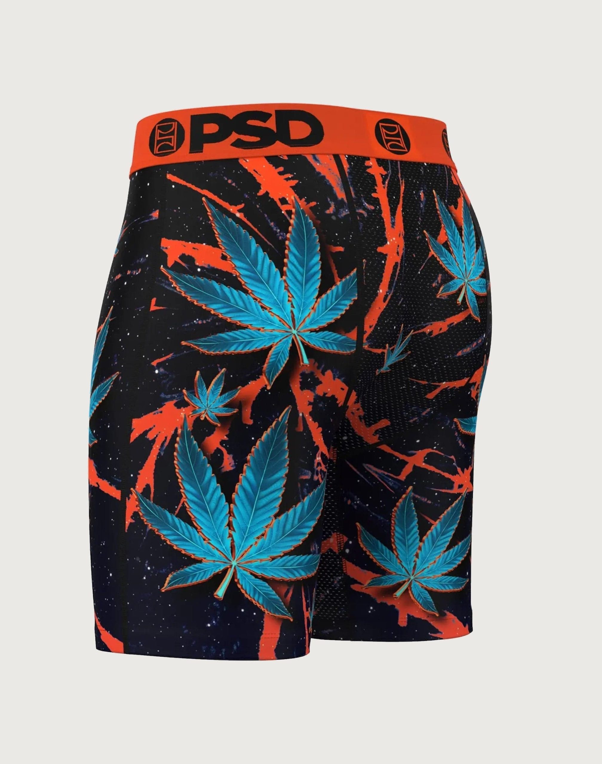 Psd Underwear Chronic Boxer Briefs - Image 3