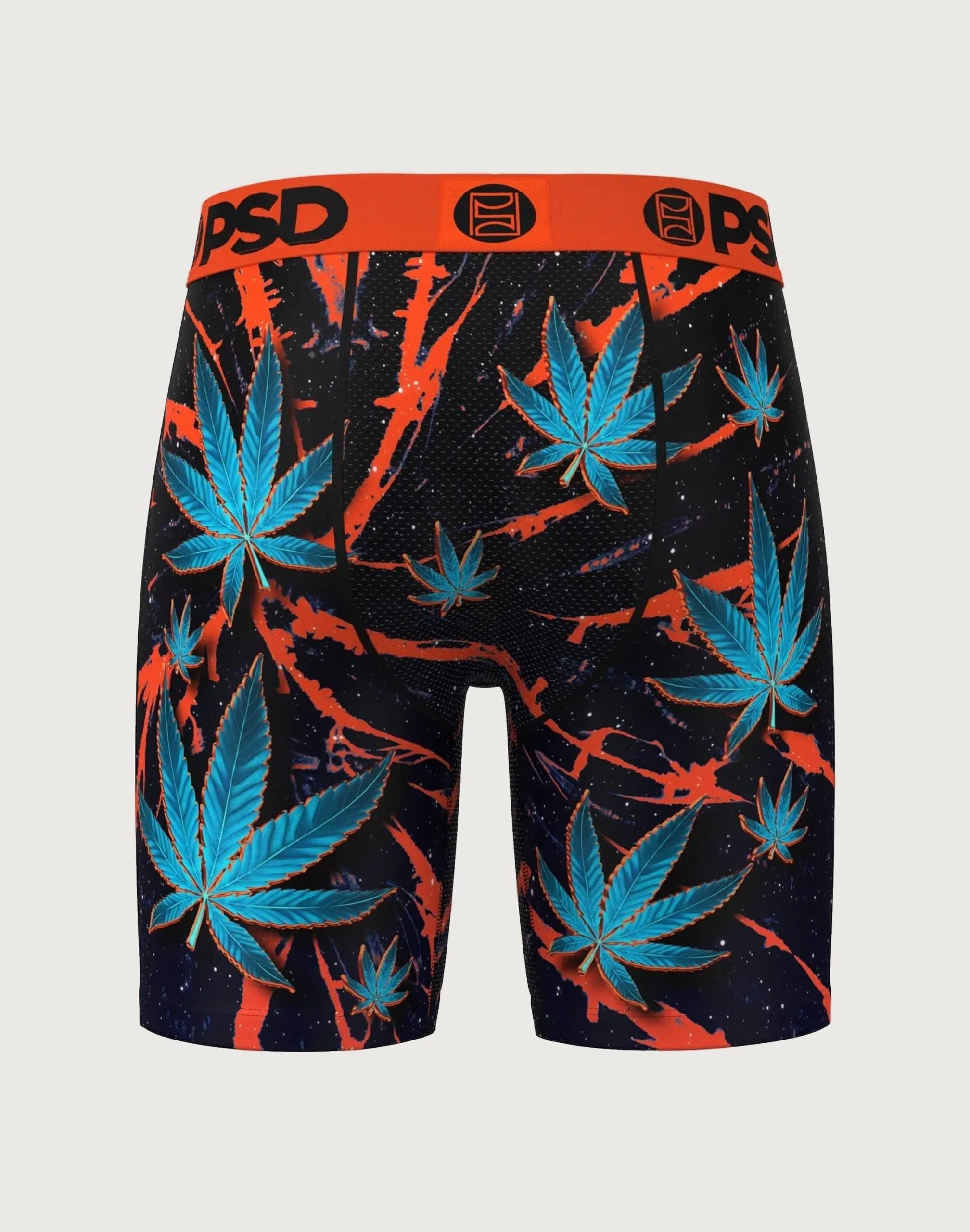 Psd Underwear Chronic Boxer Briefs - Image 4