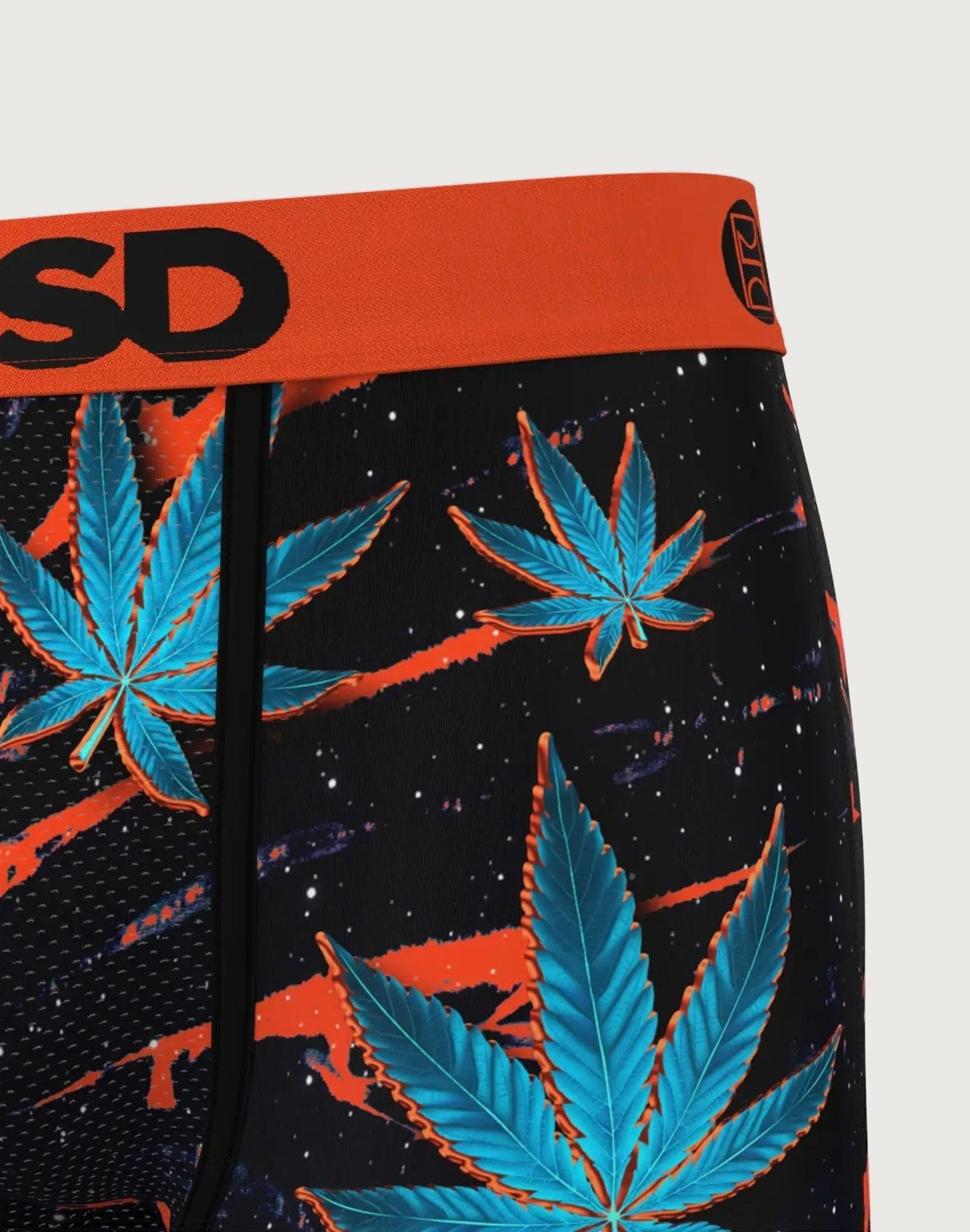 Psd Underwear Chronic Boxer Briefs - Image 5
