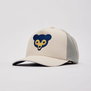 Mitchell & Ness MLB Evergreen Chicago Cubs Trucker Hat