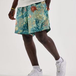Nike Club Flow Shorts