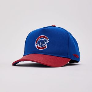 Pro Standard MLB Chicago Cubs Hat